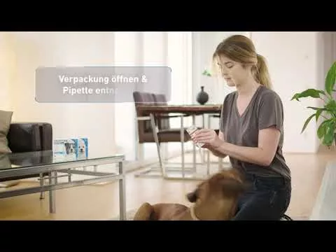 Video om FRONTLINE Plet på H 10 dyrlæge.Løsning, 6 stk