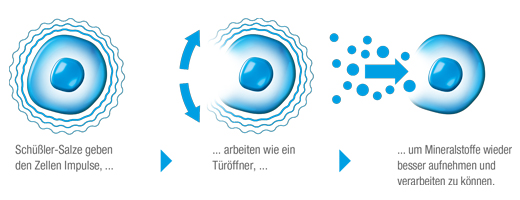 BIOCHEMIE DHU 3 Ferrum phosphoricum D 12 Tabletter, 420 Kapsler
