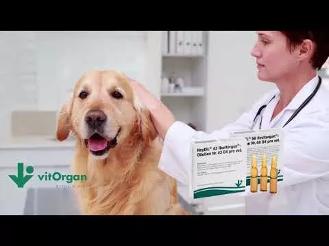 Video om NeyDIL® nr. 68 Revitorgan® D4 pro vet.Ampuller, 5x2 ml