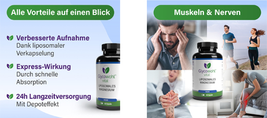 GLYCOWOHL vital liposomal magnesium højdosis kapsler, 120 stk