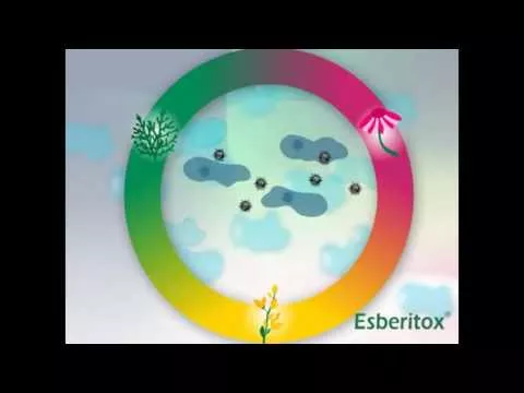 Video om Esberitox® Compact til forkølelse, 60 stk