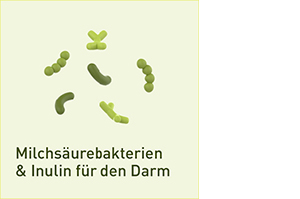 NUPURE probaflor probiotika til tarmrehabilitering Kps, 30 stk