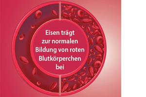 EISEN DIREKT plus C-vitamin+folinsyre+B12-pulver, 60 stk