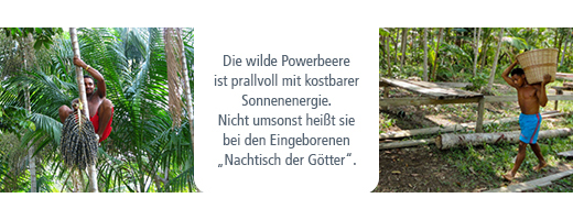 ACAI 100 % økologisk pulver uden bærestoffer, 80 g