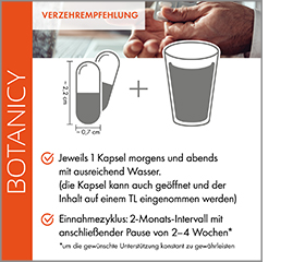 ZÜNDEX forte Complex med OptiMSM kapsler, 60 kapsler