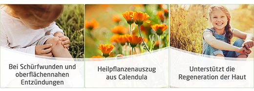CALENDULA Sårsalve, 25 g