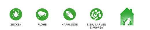 FRONTLINE Combo Spot on cat solution til påføring på huden, 6 stk