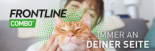 FRONTLINE Combo Spot on cat solution til påføring på huden, 6 stk
