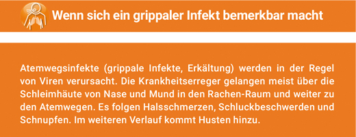 ANGOCIN Anti Infekt N filmovertrukne tabletter, 200 stk