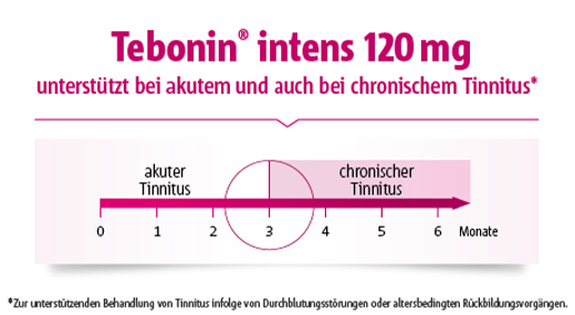 TEBONIN intens 120 mg filmovertrukne tabletter, 200 stk