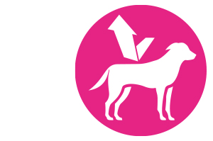 FRONTLINE Tri-Act-opløsning til drypning på hunde 2-5 kg, 6 stk