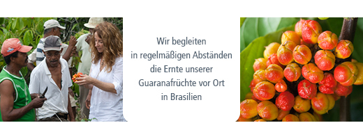 GUARANA BIO Rent pulver, 100 g