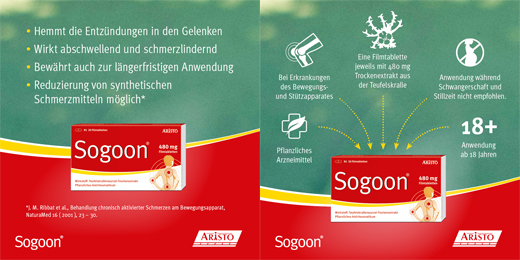 SOGOON 480 mg filmovertrukne tabletter, 20 stk