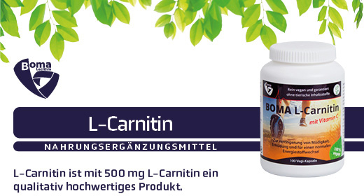L-CARNITIN 500 kapsler, 100 stk