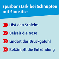 SINOLPAN forte 200 mg enterocoatede bløde kapsler, 50 stk