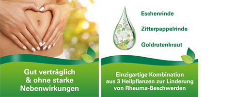 PHYTODOLOR Tinktur, 100 ml