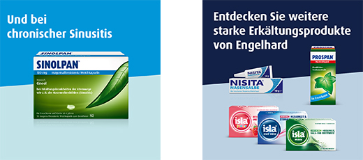 SINOLPAN forte 200 mg enterocoatede bløde kapsler, 50 stk