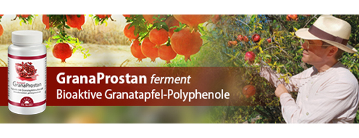 GRANAPROSTAN ferment Dr. Jacob's Capsule, 100 Capsule