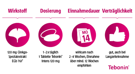 TEBONIN intens 120 mg filmovertrukne tabletter, 200 stk