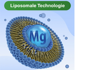 GLYCOWOHL vital liposomal magnesium højdosis kapsler, 120 stk
