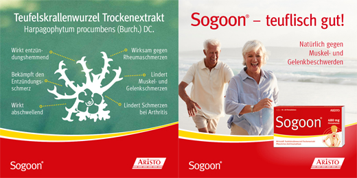 SOGOON 480 mg filmovertrukne tabletter, 20 stk