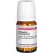CHIMAPHILA UMBELLATA D 12 tabletter, 80 stk