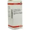 CORIANDRUM sativum modertinktur D 1, 50 ml