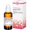 CORIANDRUM sativum modertinktur D 1, 50 ml