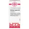 USTILAGO MAYDIS D 12 kugler, 10 g