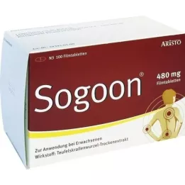 SOGOON 480 mg filmovertrukne tabletter, 100 stk