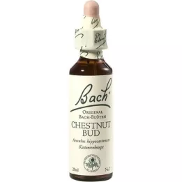 BACHBLÜTEN Chestnut Bud dråber, 20 ml