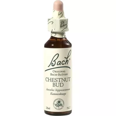 BACHBLÜTEN Chestnut Bud dråber, 20 ml