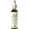 BACHBLÜTEN Chestnut Bud dråber, 20 ml