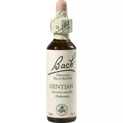 BACHBLÜTEN Ensian dråber, 20 ml