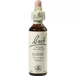 BACHBLÜTEN Gorse dråber, 20 ml