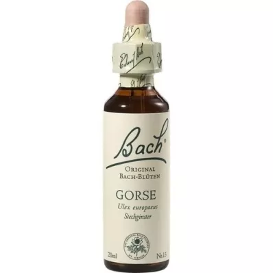 BACHBLÜTEN Gorse dråber, 20 ml