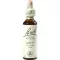 BACHBLÜTEN Lærkedråber, 20 ml
