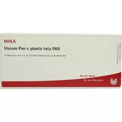 VISCUM PINI e planta tota D 60 ampuller, 10X1 ml