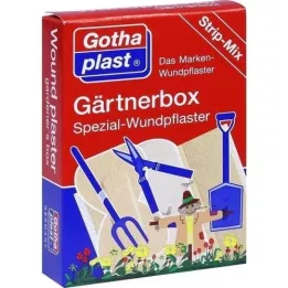 GOTHAPLAST Gartnerkasse gips, 1 stk