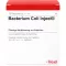 BACTERIUM COLI Injeel ampuller, 10 stk