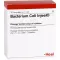 BACTERIUM COLI Injeel ampuller, 10 stk
