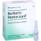 BERBERIS HOMACCORD Ampuller, 10 stk