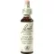 BACHBLÜTEN Bethlehemsstjerne dråber, 20 ml