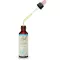 BACHBLÜTEN Vervain dråber, 20 ml