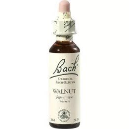 BACHBLÜTEN Valnøddedråber, 20 ml
