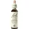 BACHBLÜTEN Hvide kastanjedråber, 20 ml