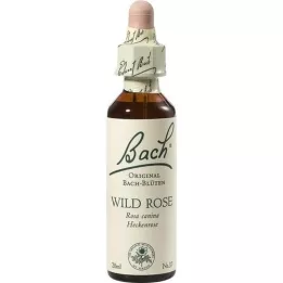 BACHBLÜTEN Wild Rose dråber, 20 ml