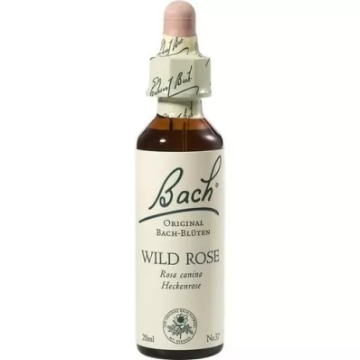 BACHBLÜTEN Wild Rose dråber, 20 ml