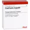 CANTHARIS INJEEL Ampuller, 10 stk