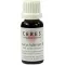 CERES Dipsacus fullonum modertinktur, 20 ml